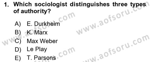 Introduction to Sociology Dersi 2023 - 2024 Yılı Yaz Okulu Sınav Soruları 1. Soru