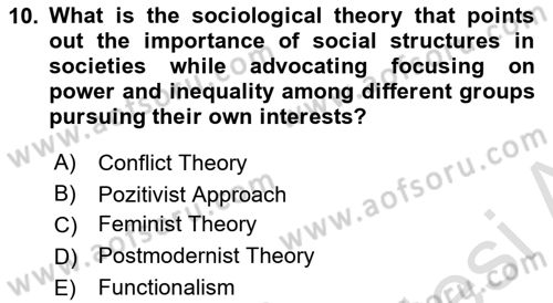Introduction to Sociology Dersi 2023 - 2024 Yılı Yaz Okulu Sınav Soruları 10. Soru