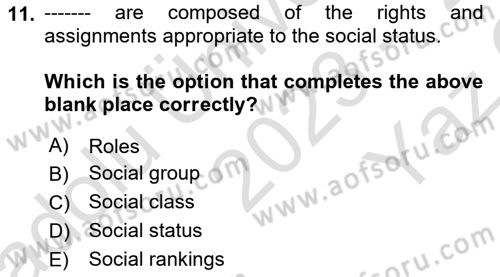 Introduction to Sociology Dersi 2023 - 2024 Yılı Yaz Okulu Sınav Soruları 11. Soru