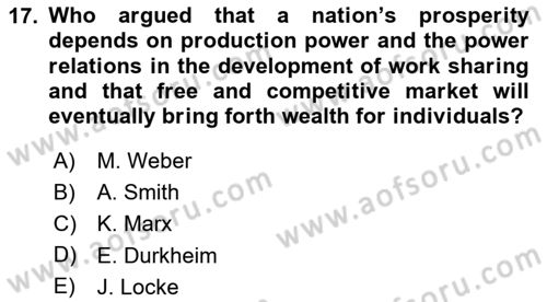Introduction to Sociology Dersi 2023 - 2024 Yılı Yaz Okulu Sınav Soruları 17. Soru