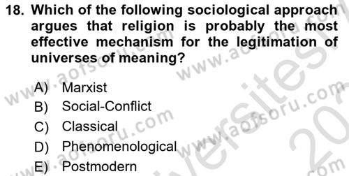 Introduction to Sociology Dersi 2023 - 2024 Yılı Yaz Okulu Sınav Soruları 18. Soru