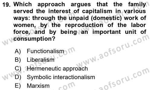 Introduction to Sociology Dersi 2023 - 2024 Yılı Yaz Okulu Sınav Soruları 19. Soru