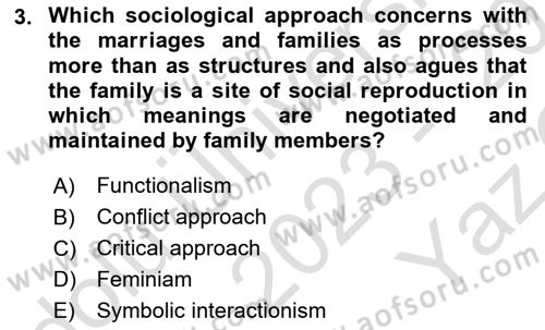 Introduction to Sociology Dersi 2023 - 2024 Yılı Yaz Okulu Sınav Soruları 3. Soru