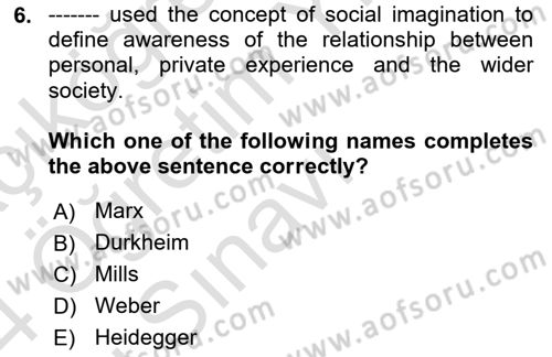 Introduction to Sociology Dersi 2023 - 2024 Yılı Yaz Okulu Sınav Soruları 6. Soru
