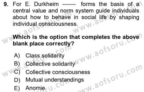 Introduction to Sociology Dersi 2023 - 2024 Yılı Yaz Okulu Sınavı 9. Soru