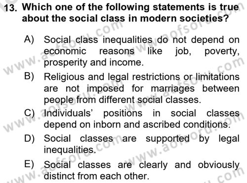 Introduction to Sociology Dersi Ara Sınavı Deneme Sınav Soruları 13. Soru