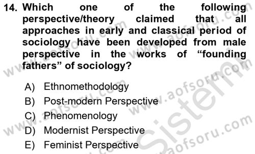 Introduction to Sociology Dersi Ara Sınavı Deneme Sınav Soruları 14. Soru