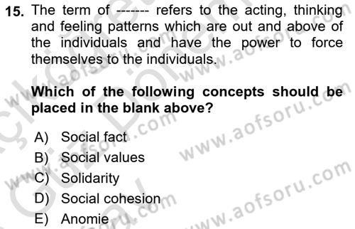Introduction to Sociology Dersi 2024 - 2025 Yılı (Vize) Ara Sınav Soruları 15. Soru