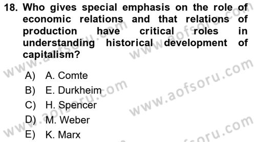 Introduction to Sociology Dersi Ara Sınavı Deneme Sınav Soruları 18. Soru