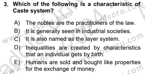 Introduction to Sociology Dersi 2024 - 2025 Yılı (Vize) Ara Sınav Soruları 3. Soru