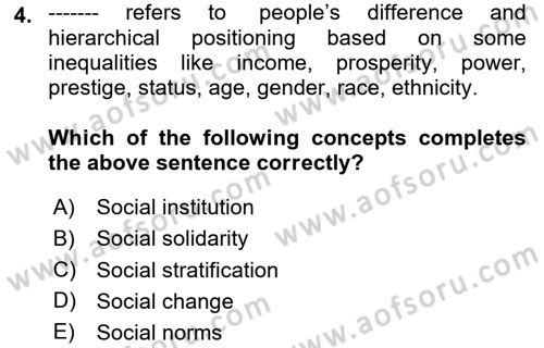 Introduction to Sociology Dersi 2024 - 2025 Yılı (Vize) Ara Sınav Soruları 4. Soru