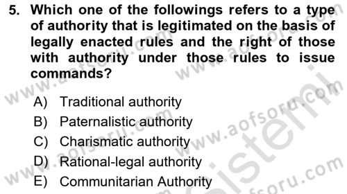 Introduction to Sociology Dersi 2024 - 2025 Yılı (Vize) Ara Sınav Soruları 5. Soru