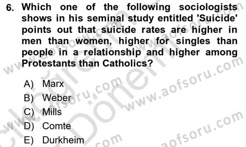 Introduction to Sociology Dersi Ara Sınavı Deneme Sınav Soruları 6. Soru
