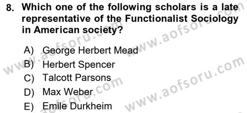 Introduction to Sociology Dersi 2024 - 2025 Yılı (Vize) Ara Sınav Soruları 8. Soru