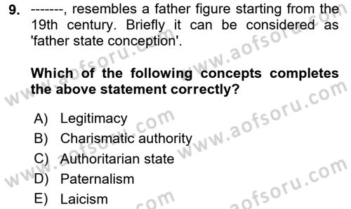 Introduction to Sociology Dersi 2024 - 2025 Yılı (Vize) Ara Sınav Soruları 9. Soru