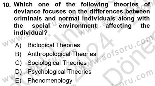Introduction to Sociology Dersi 2024 - 2025 Yılı (Final) Dönem Sonu Sınav Soruları 10. Soru