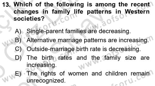 Introduction to Sociology Dersi 2024 - 2025 Yılı (Final) Dönem Sonu Sınav Soruları 13. Soru