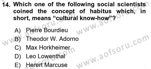 Introduction to Sociology Dersi 2024 - 2025 Yılı (Final) Dönem Sonu Sınav Soruları 14. Soru