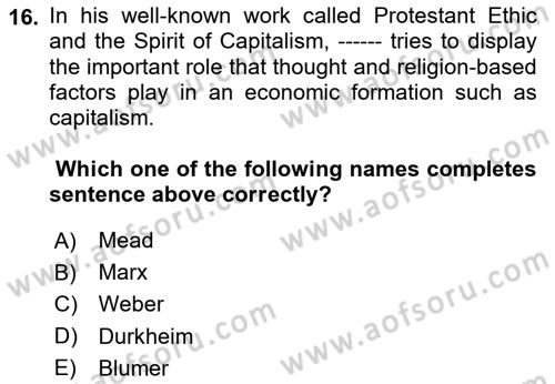 Introduction to Sociology Dersi 2024 - 2025 Yılı (Final) Dönem Sonu Sınav Soruları 16. Soru