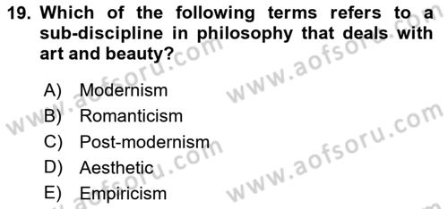 Introduction to Sociology Dersi 2024 - 2025 Yılı (Final) Dönem Sonu Sınav Soruları 19. Soru