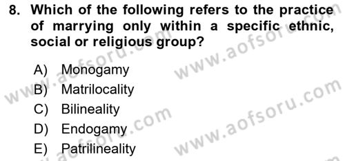 Introduction to Sociology Dersi 2024 - 2025 Yılı (Final) Dönem Sonu Sınav Soruları 8. Soru