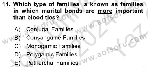 Introduction to Sociology Dersi 2024 - 2025 Yılı Yaz Okulu Sınav Soruları 11. Soru