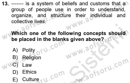 Introduction to Sociology Dersi 2024 - 2025 Yılı Yaz Okulu Sınav Soruları 13. Soru