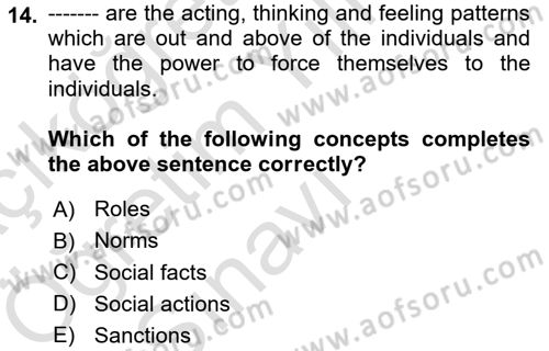 Introduction to Sociology Dersi 2024 - 2025 Yılı Yaz Okulu Sınav Soruları 14. Soru