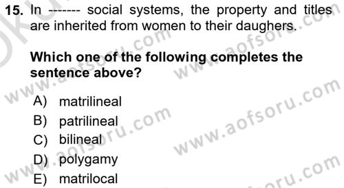 Introduction to Sociology Dersi 2024 - 2025 Yılı Yaz Okulu Sınav Soruları 15. Soru
