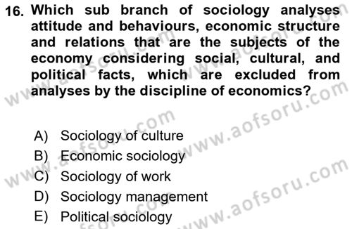 Introduction to Sociology Dersi 2024 - 2025 Yılı Yaz Okulu Sınav Soruları 16. Soru