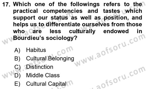 Introduction to Sociology Dersi 2024 - 2025 Yılı Yaz Okulu Sınav Soruları 17. Soru
