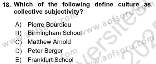 Introduction to Sociology Dersi 2024 - 2025 Yılı Yaz Okulu Sınav Soruları 18. Soru