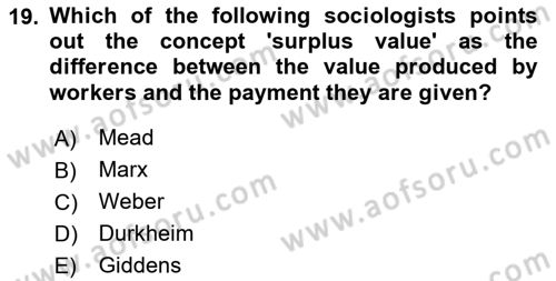 Introduction to Sociology Dersi 2024 - 2025 Yılı Yaz Okulu Sınav Soruları 19. Soru
