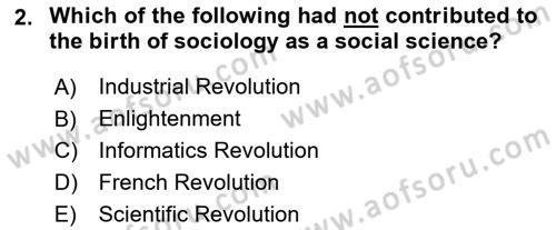 Introduction to Sociology Dersi 2024 - 2025 Yılı Yaz Okulu Sınav Soruları 2. Soru