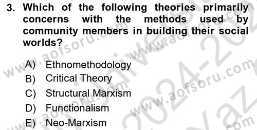 Introduction to Sociology Dersi 2024 - 2025 Yılı Yaz Okulu Sınav Soruları 3. Soru