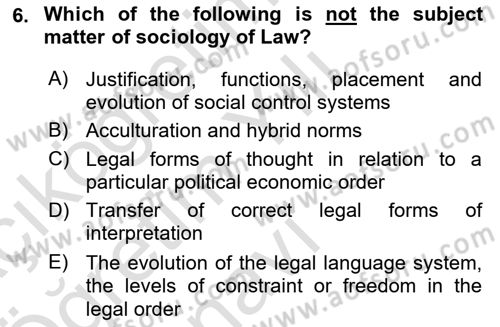 Introduction to Sociology Dersi 2024 - 2025 Yılı Yaz Okulu Sınav Soruları 6. Soru