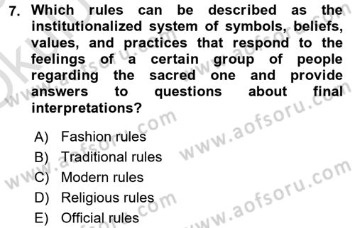 Introduction to Sociology Dersi 2024 - 2025 Yılı Yaz Okulu Sınav Soruları 7. Soru