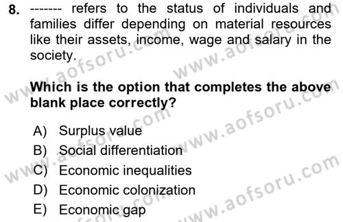 Introduction to Sociology Dersi 2024 - 2025 Yılı Yaz Okulu Sınav Soruları 8. Soru