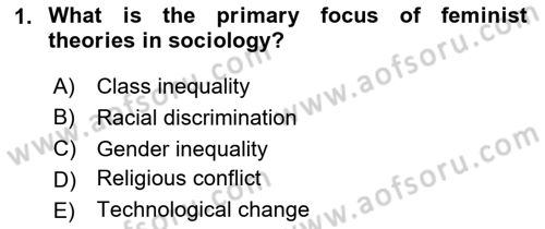 Introduction to Sociology Dersi 2025 - 2026 Yılı (Vize) Ara Sınav Soruları 1. Soru