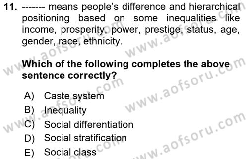 Introduction to Sociology Dersi 2025 - 2026 Yılı (Vize) Ara Sınav Soruları 11. Soru