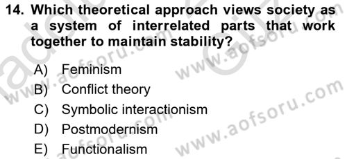 Introduction to Sociology Dersi 2025 - 2026 Yılı (Vize) Ara Sınav Soruları 14. Soru