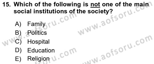 Introduction to Sociology Dersi 2025 - 2026 Yılı (Vize) Ara Sınav Soruları 15. Soru