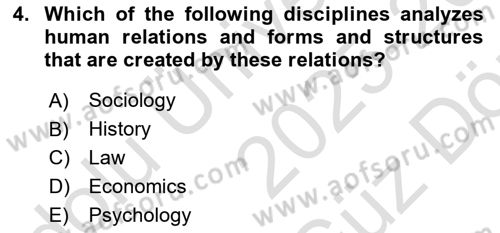 Introduction to Sociology Dersi 2025 - 2026 Yılı (Vize) Ara Sınav Soruları 4. Soru