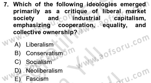 Introduction to Sociology Dersi 2025 - 2026 Yılı (Vize) Ara Sınav Soruları 7. Soru