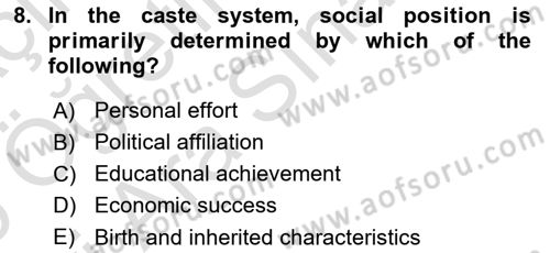 Introduction to Sociology Dersi 2025 - 2026 Yılı (Vize) Ara Sınav Soruları 8. Soru