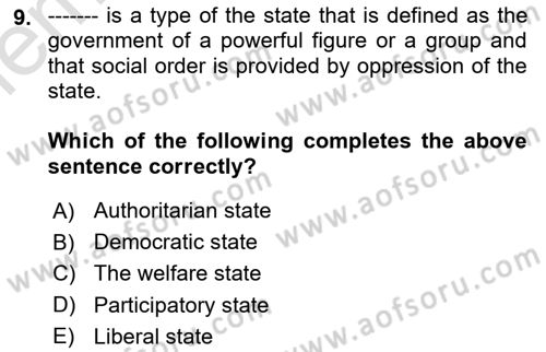 Introduction to Sociology Dersi 2025 - 2026 Yılı (Vize) Ara Sınav Soruları 9. Soru