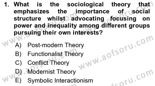 Introduction to Sociology Dersi 2025 - 2026 Yılı (Final) Dönem Sonu Sınav Soruları 1. Soru