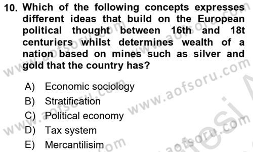 Introduction to Sociology Dersi 2025 - 2026 Yılı (Final) Dönem Sonu Sınav Soruları 10. Soru