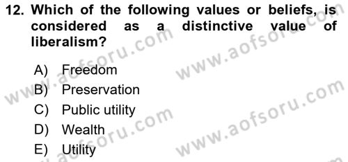 Introduction to Sociology Dersi 2025 - 2026 Yılı (Final) Dönem Sonu Sınav Soruları 12. Soru