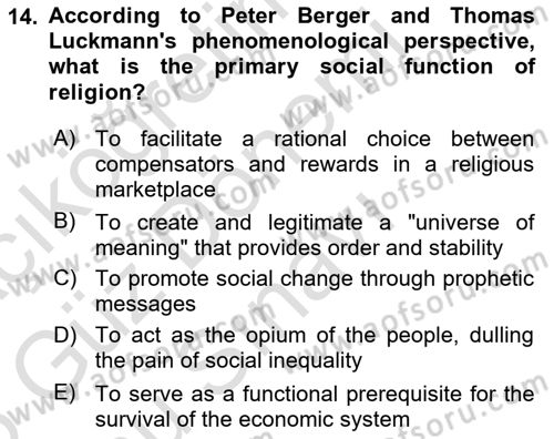 Introduction to Sociology Dersi 2025 - 2026 Yılı (Final) Dönem Sonu Sınav Soruları 14. Soru